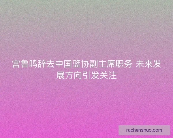 宫鲁鸣辞去中国篮协副主席职务 未来发展方向引发关注